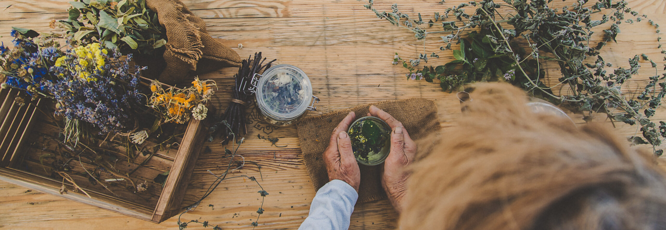 Organic herbs online